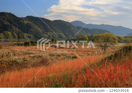 Autumn riverbed Autumn riverbed 124033016