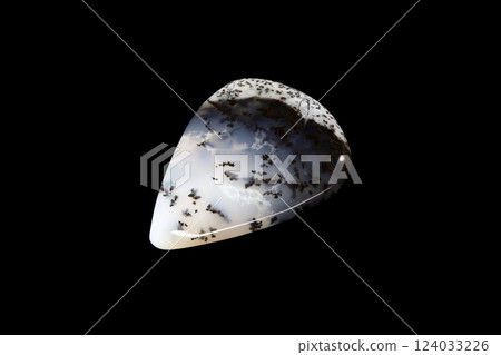 Marlinite snowy stone Marlinite snowy stone 124033226