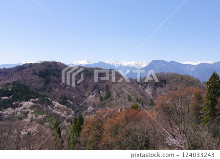 以北阿爾卑斯山為背景的六鄉山櫻花 - 長野縣北安曇郡 124033243