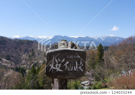 以北阿爾卑斯山為背景的六鄉山櫻花 - 長野縣北安曇郡 124033244