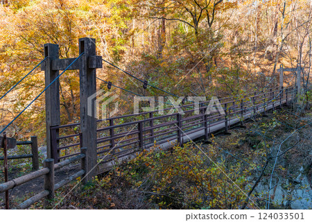 (山梨縣)昇仙橋戀人步道上的紅葉美景 (山梨縣)昇仙橋戀人步道上的紅葉美景 124033501