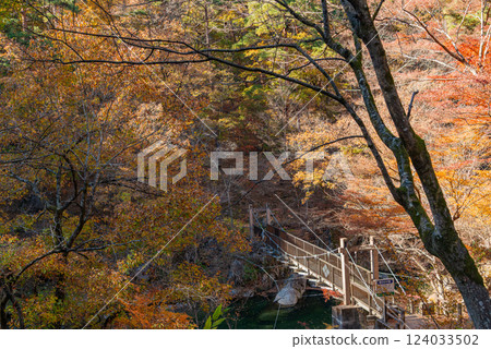 (山梨縣)昇仙橋戀人步道上的紅葉美景 (山梨縣)昇仙橋戀人步道上的紅葉美景 124033502