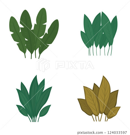 Set of Green Fresh Tropical Leaves Foliage Plant in the Park Garden 124033597