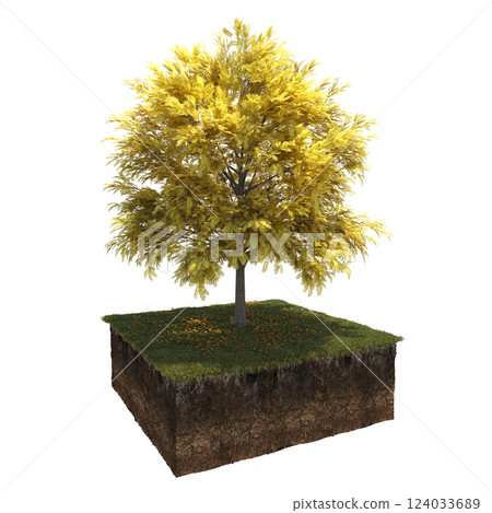 Autumn tree and soil cut under it. isolate on a transparent background, 3D illustration, cg render 124033689