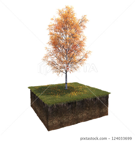 Autumn tree and soil cut under it. isolate on a transparent background, 3D illustration, cg render Autumn tree and soil cut under it. isolate on a transparent background, 3D illustration, cg render 124033699