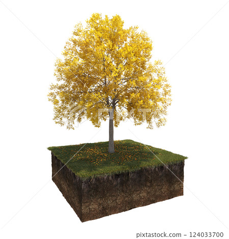 Autumn tree and soil cut under it. isolate on a transparent background, 3D illustration, cg render 124033700