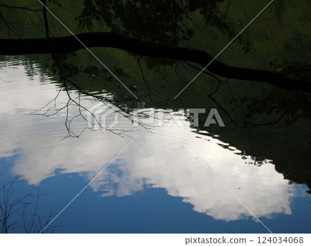 Tree reflected on the lake surface Tree reflected on the lake surface 124034068