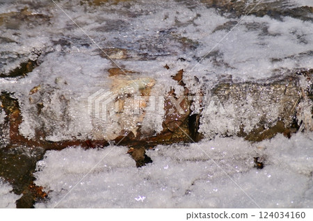 惠澤川下游石壩的冬季風景 惠澤川下游石壩的冬季風景 124034160