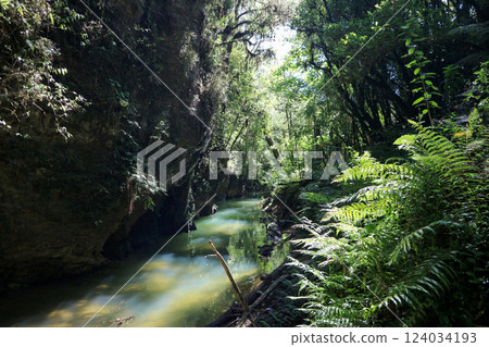 Near the entrance to the Waitomo Caves in New Zealand 124034193