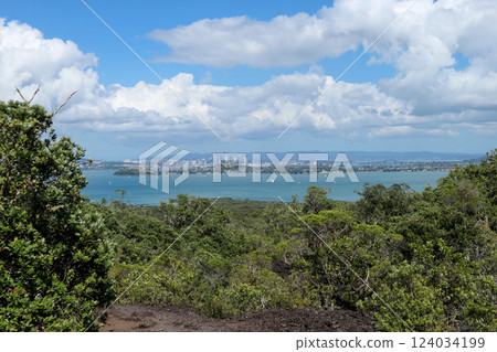 從朗伊托托島俯瞰奧克蘭市 從朗伊托托島俯瞰奧克蘭市 124034199
