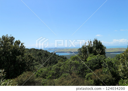 View from the summit of Rangitoto Island 124034200