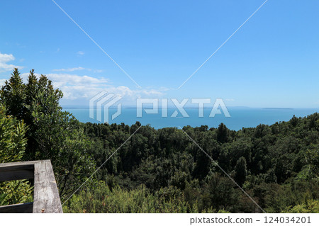 View from the summit of Rangitoto Island 124034201