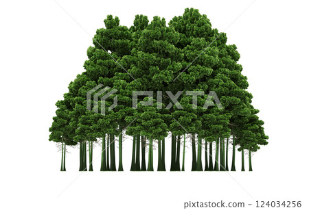 group of trees isolated on a transparent background, forest, sketch, outline illustration, cg render group of trees isolated on a transparent background, forest, sketch, outline illustration, cg render 124034256