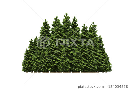 group of trees isolated on a transparent background, forest, sketch, outline illustration, cg render group of trees isolated on a transparent background, forest, sketch, outline illustration, cg render 124034258
