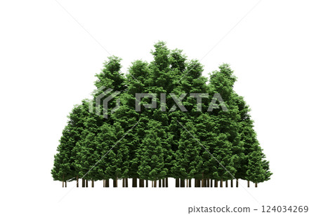 group of trees isolated on a transparent background, forest, sketch, outline illustration, cg render 124034269