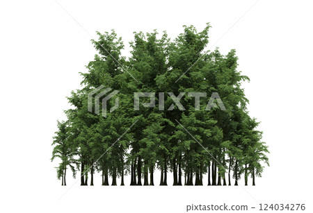 group of trees isolated on a transparent background, forest, sketch, outline illustration, cg render group of trees isolated on a transparent background, forest, sketch, outline illustration, cg render 124034276