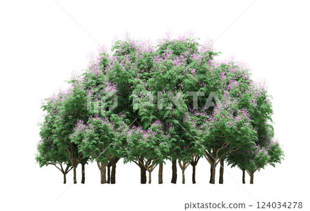 group of trees isolated on a transparent background, forest, sketch, outline illustration, cg render 124034278