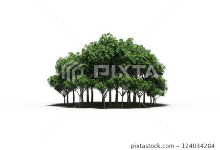 group of trees isolated on a transparent background, forest, sketch, outline illustration, cg render group of trees isolated on a transparent background, forest, sketch, outline illustration, cg render 124034284
