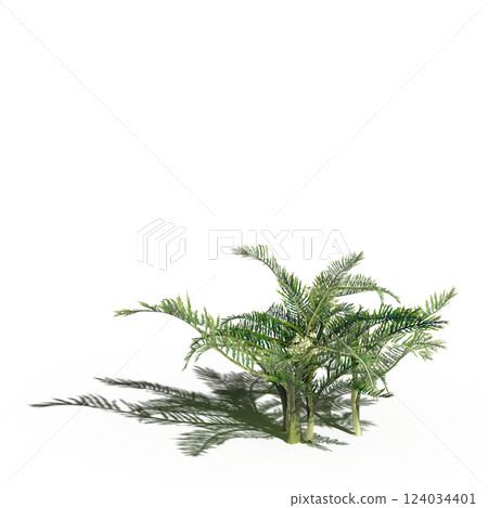 wild field grass with a shadow under it, isolated on a transparent background, 3D illustration, cg render wild field grass with a shadow under it, isolated on a transparent background, 3D illustration, cg render 124034401