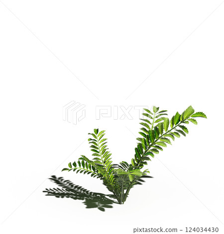 wild field grass with a shadow under it, isolated on a transparent background, 3D illustration, cg render 124034430