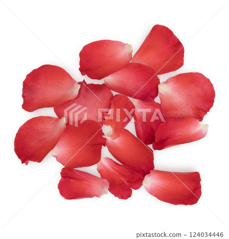 Fresh red rose petals isolated on white background.Top view 124034446