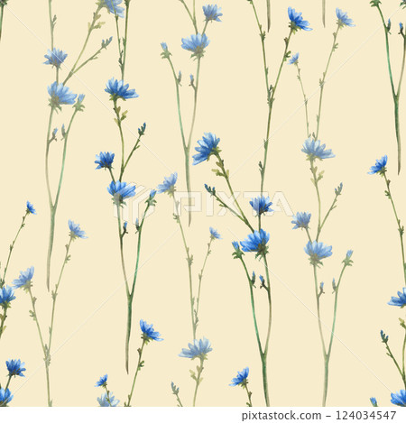 Blue wildflower. Cornflower or chicory field plant with flowers and buds seamless pattern. Watercolor hand drawn illustration Realistic clipart for fabric, summer floral print Isolated from background Blue wildflower. Cornflower or chicory field plant with flowers and buds seamless pattern. Watercolor hand drawn illustration Realistic clipart for fabric, summer floral print Isolated from background 124034547