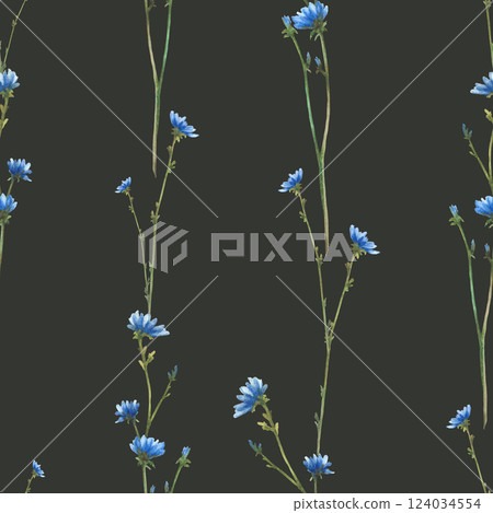 Blue wildflower, Chicory field plant with flowers and buds seamless pattern. Watercolor Cornflower hand drawn illustration. Botanical realistic print design for fabric on isolated dark background 124034554