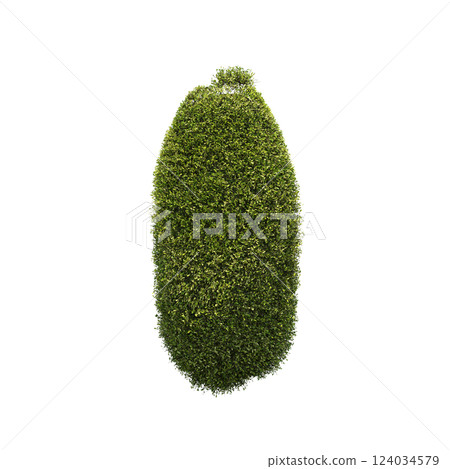bush isolate on a transparent background, 3D illustration, cg render 124034579