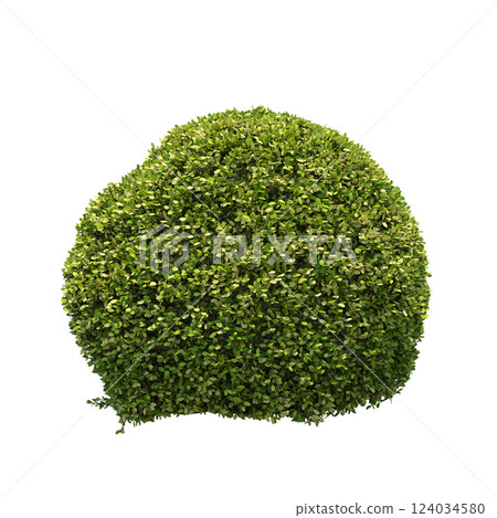 bush isolate on a transparent background, 3D illustration, cg render 124034580
