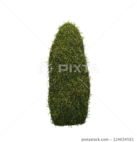 bush isolate on a transparent background, 3D illustration, cg render 124034581