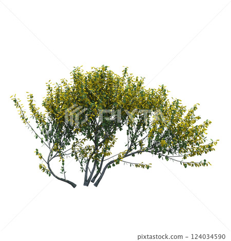 bush isolate on a transparent background, 3D illustration, cg render 124034590