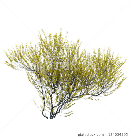 bush isolate on a transparent background, 3D illustration, cg render bush isolate on a transparent background, 3D illustration, cg render 124034595