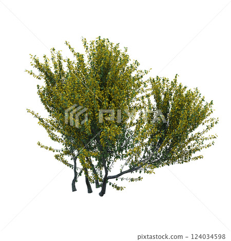 bush isolate on a transparent background, 3D illustration, cg render 124034598