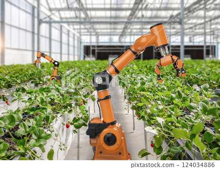 Robotic arm and robot assistant harvesting strawberry in indoor farm or glasshouse Robotic arm and robot assistant harvesting strawberry in indoor farm or glasshouse 124034886