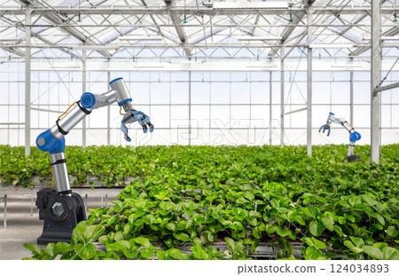 Robotic arm and robot assistant harvesting strawberry in indoor farm or glasshouse Robotic arm and robot assistant harvesting strawberry in indoor farm or glasshouse 124034893