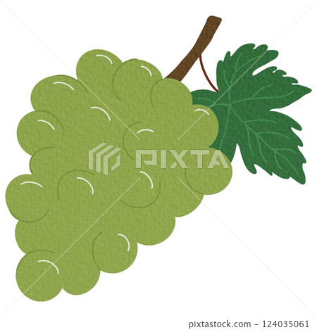 Green grape berries isolated bunch with leaf flat cartoon style icon. Vector wine ingredient, vegetarian food dessert, grape, sweet summer berries, muscat cardinal cluster, fresh grapes Green grape berries isolated bunch with leaf flat cartoon style icon. Vector wine ingredient, vegetarian food dessert, grape, sweet summer berries, muscat cardinal cluster, fresh grapes 124035061