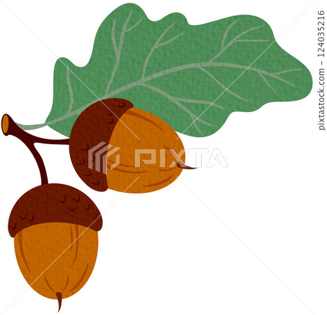 Branch of acorn fruits and leaves, tree leaf, oak autumn leafage cartoon icon. Vector herbarium, autumn leafage foliage symbol. 124035216