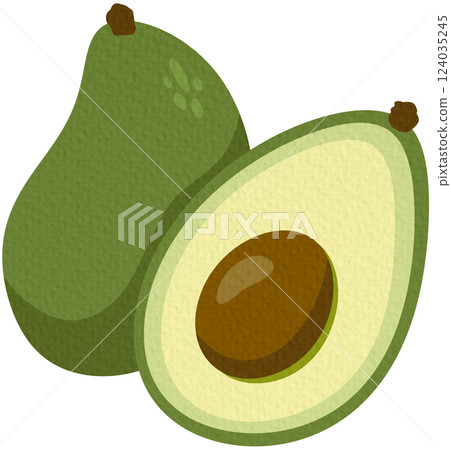 vector, fruits, avocado 124035245