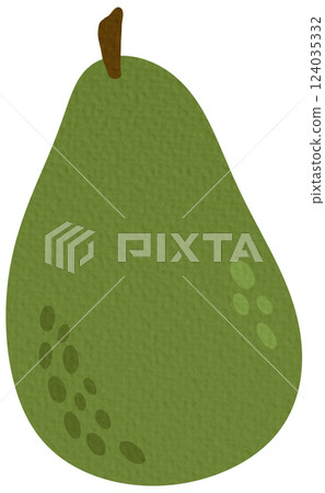 vector, fruits, avocado 124035332
