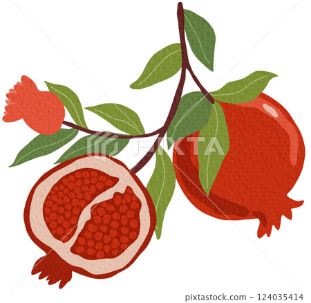 pomegranate, fruit, vector 124035414