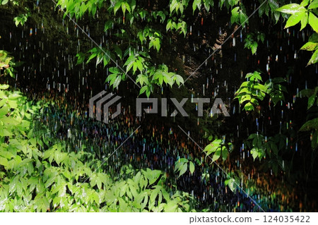 A rainbow flowing through a forest of fresh greenery A rainbow flowing through a forest of fresh greenery 124035422