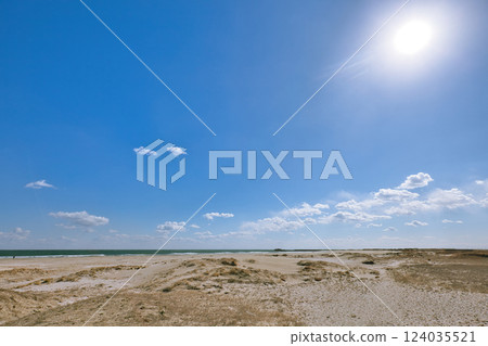 山武郡九十九里町佐久田海岸附近 124035521