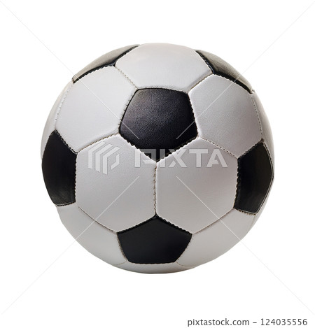 Classic Black and White Soccer Ball 124035556
