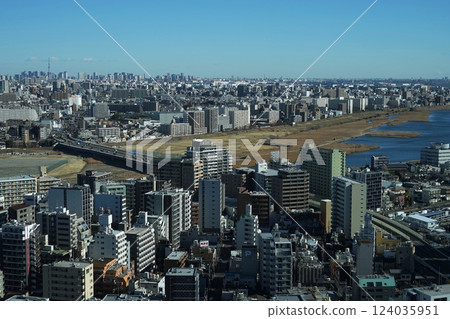 從川崎市政廳俯瞰東京晴空塔和六鄉大橋 2月川崎531 東京晴空塔和多摩川六鄉大橋 124035951