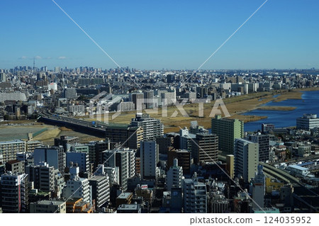 從川崎市政廳俯瞰東京晴空塔和六鄉大橋 2月川崎532 東京晴空塔和多摩川六鄉大橋 124035952
