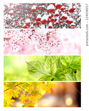 Set of horizontal nature banners. Four season of year. Each one features scene of nature, from the gentle snowfall of winter to the vibrant leaves of summer. Perfect for showcasing changing seasons 124036017