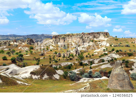 Aerial view of Fairy Chimney in Pasabag Valley, Anatolia, Turkey. Topic of vacation, travel, trip abroad on vacation, cruises and tours 124036025