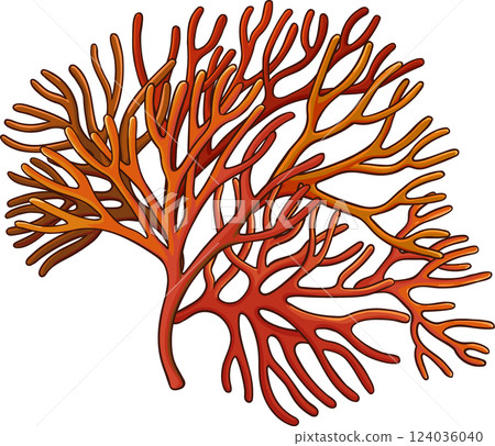 Sea Moss Plant Colored Detailed  Illustration. 124036040