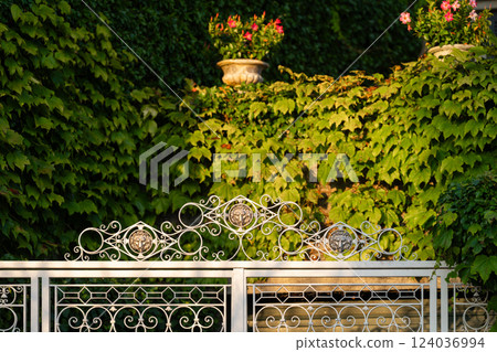 Ornate Metal Gate with Ivy-Covered Wall in Evening Light 124036994