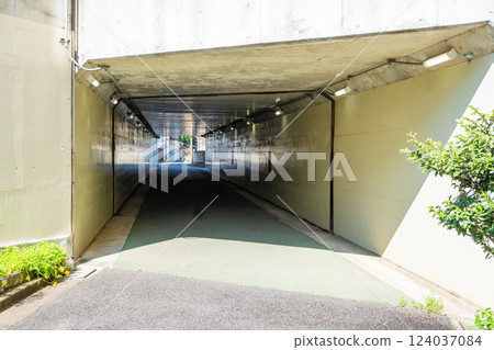Entrance to the walking tunnel Entrance to the walking tunnel 124037084